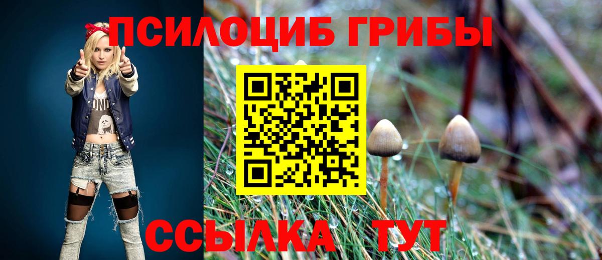 Кулебаки  даркнет сайт  Псилоцибиновые грибы GOLDEN TEACHER  Вход с VPN  Псилоцибиновые грибы ЛСД 